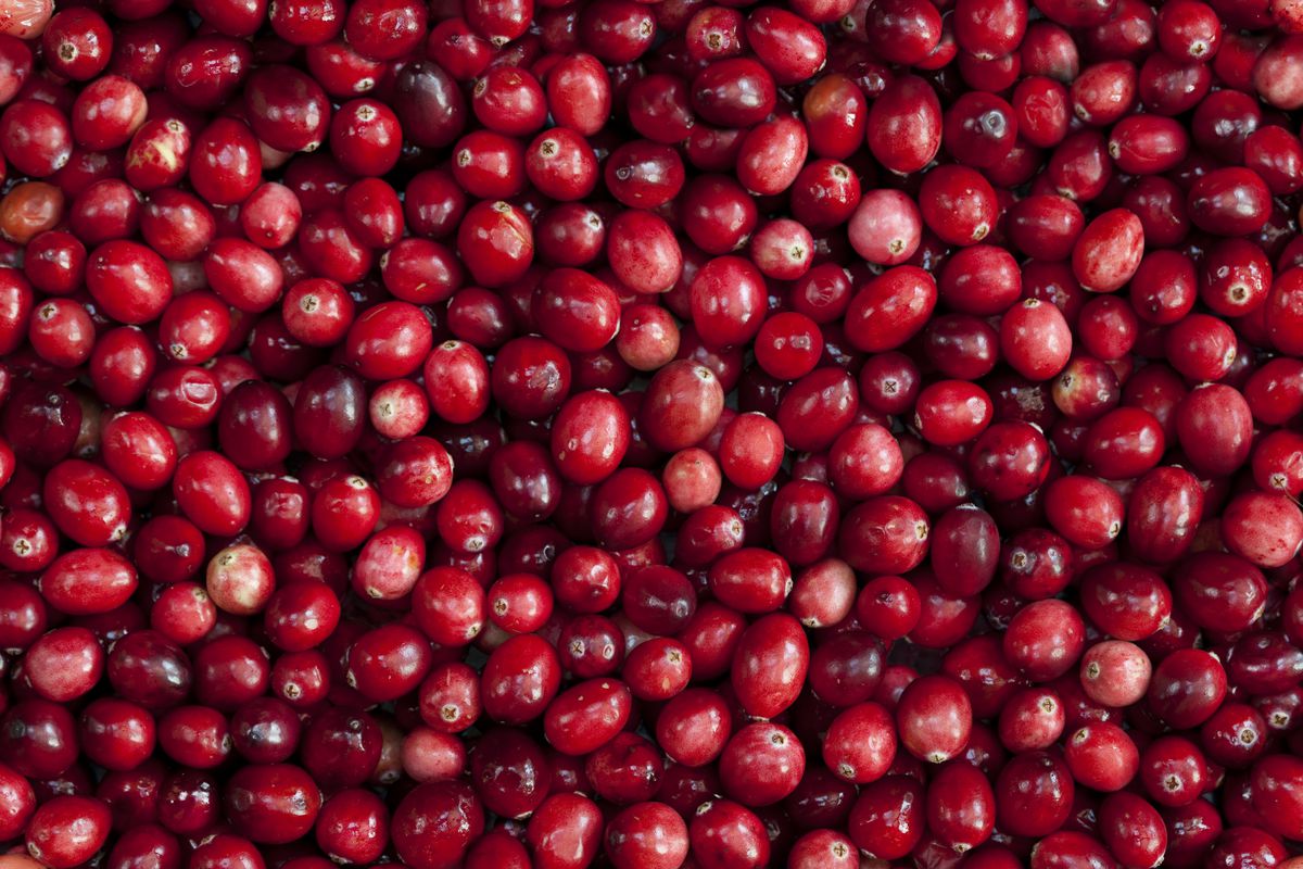 Can berry Can berry
